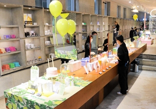 スキンケア・メーク用品を試して購入できる体験型ショップ「アモーレ聖水」＝ソウル特別市城東区