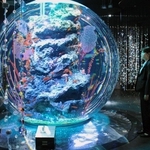 無数のクリスタルが水槽と響き合うインスタレーション＝神戸市中央区新港町