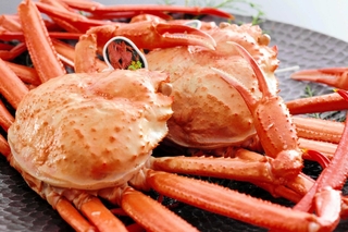 鮮度の高さが自慢の香住ガニ（ベニズワイガニ）