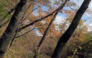 まだ見ぬ先へ。この手で道を切りひらく（撮影・吉田敦史）