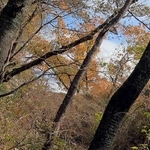 まだ見ぬ先へ。この手で道を切りひらく（撮影・吉田敦史）