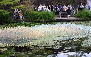 光によって色彩が変化するバルーンを池に浮かべた「Ｂｅｔｗｅｅｎ」＝神戸市灘区六甲山町北六甲、ＲＯＫＫＯ森の音ミュージアム（撮影・風斗雅博）