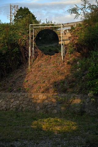 大賞を受けた坪田怜子の「夕暮れをずらす」＝神戸市灘区六甲山町（撮影・風斗雅博）