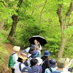 ハイキングの案内役を務める根岸真理さん（奥中央）