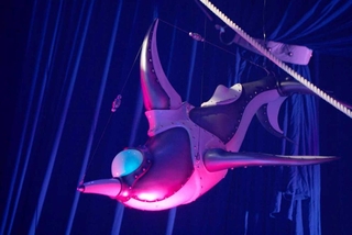 イルカをモチーフにした作品「ＤＯＬＰＨＩＮ」（（Ｃ）ＷＥＬＬ　ＳＴＯＮＥ　ＶＯＩＣＥ）