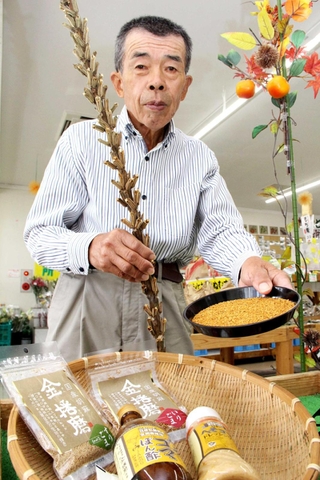 金ゴマの加工品を前に、実と茎を持つ森井哲夫さん＝西脇市西田町、ふれすこ西脇店