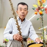 金ゴマの加工品を前に、実と茎を持つ森井哲夫さん＝西脇市西田町、ふれすこ西脇店