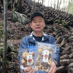 原木のそばで乾燥シイタケを手にする仲守さん＝猪名川町木間生