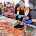 漁師らからアドバイスを受けながら調理する参加者ら＝明石市中崎１、兵庫県水産会館
