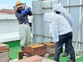 ホテル敷地内に巣箱を設置し、養蜂に取り組むスタッフら＝神戸ポートピアホテル（同ホテル提供）