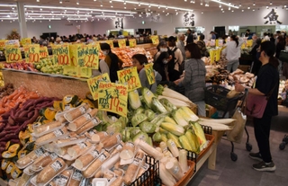 青果を充実させた「八百鮮魚崎南店」の売り場＝神戸市東灘区魚崎南町４
