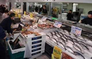 丸ごとの魚が目を引く鮮魚売り場＝神戸市東灘区魚崎南町４、八百鮮魚崎南店