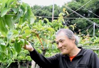 ナシの生育状況を確認する高和第一生産組合の川本貴行理事＝神戸市西区押部谷町高和