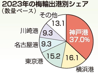 神戸新聞ＮＥＸＴ