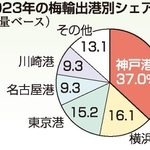 神戸新聞ＮＥＸＴ