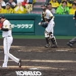 神戸製鋼所が協賛する阪神甲子園球場のマウンド広告＝西宮市
