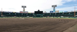 ８月１日に開場１００周年を迎える阪神甲子園球場＝西宮市甲子園町（撮影・長嶺麻子）