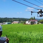 吉川町営農組合協議会の実証実験で水田上の電線を避けて飛行するドローン＝三木市吉川町金会（兵庫県提供）