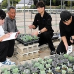 竹チップを混ぜたハボタンの生育状況を確認する神戸学院大の菊川裕幸講師（右から２人目）と三浦一成さん（同３人目）、同大の学生たち＝神戸市西区伊川谷町上脇