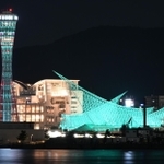 神戸ストークスのチームカラーの緑色に染まった神戸ポートタワーや海洋博物館＝１７日夜、神戸市中央区港島２から（撮影・風斗雅博）
