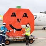 神戸空港の駐機場にお目見えした巨大なカボチャの装飾。よく見ると目と鼻が「ＡＮＡ」に＝29日午前、神戸市中央区