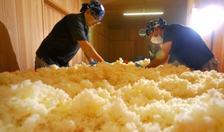 新酒の仕込み作業をする蔵人たち。丁寧な仕事が伝統として受け継がれてきた＝２０２３年、丹波篠山市