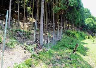 加西市内に設置された鳥獣被害を避けるための防護柵（兵庫県提供）