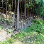 加西市内に設置された鳥獣被害を避けるための防護柵（兵庫県提供）