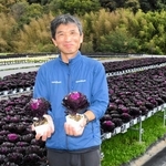 丹精したハボタンを手にする大塩芳弘社長。「逆境の今こそ産地の力を見せていきたい」＝加西市岸呂町