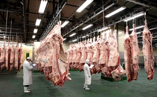 競りを前に神戸ビーフの枝肉を確認する仲買人ら。食と農の安全・安心あってこその営みだ＝神戸市長田区（本文とは直接関係ありません）