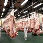 競りを前に神戸ビーフの枝肉を確認する仲買人ら。食と農の安全・安心あってこその営みだ＝神戸市長田区（本文とは直接関係ありません）