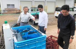 菅野勝義さん（左）の指導を受けながら、網に入れた種もみを湯に浸して消毒する藤本圭一朗さん（右）ら＝加西市常吉町、アクシス常吉