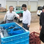 菅野勝義さん（左）の指導を受けながら、網に入れた種もみを湯に浸して消毒する藤本圭一朗さん（右）ら＝加西市常吉町、アクシス常吉