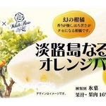 ＪＡ全農が開発した「淡路島なるとオレンジバー」のパッケージ（ＪＡ全農提供）