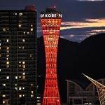 夜の神戸ポートタワー＝２０２４年５月、神戸市中央区波止場町
