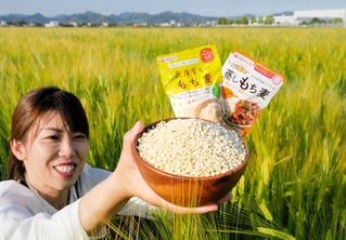 北播磨地域で生産されたもち麦とマルヤナギ小倉屋の商品＝加東市上田