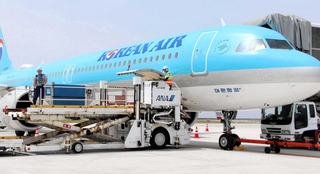 大韓航空機から旅客の手荷物を積み降ろすＡＮＡ大阪空港神戸事業部の社員ら＝５月、神戸空港