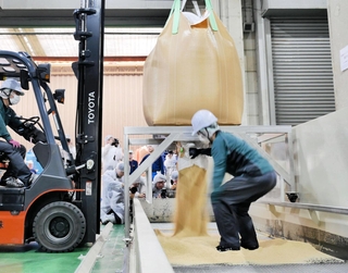 玄米を生産ラインに投入する「張り込み」作業＝兵庫県内の精米工場