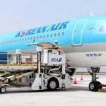 大韓航空機から旅客の手荷物を積み降ろすＡＮＡ大阪空港神戸事業部の社員ら＝５月、神戸空港