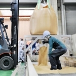 玄米を生産ラインに投入する「張り込み」作業＝兵庫県内の精米工場