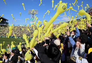 阪神対巨人のオープン戦で、七回裏の阪神攻撃前にジェット風船を飛ばす観客＝３月９日、甲子園球場