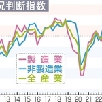 県内の業況判断指数