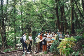 「循環葬」の埋葬地となる森。８月に内覧会が開かれた＝千葉県南房総市（アットフォレスト提供）