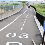 千里川右岸に整備された遊歩道。滑走路を模して北東方向を示す「０３」や右岸を表す「Ｒ」の文字などが入っている＝大阪府豊中市原田中２