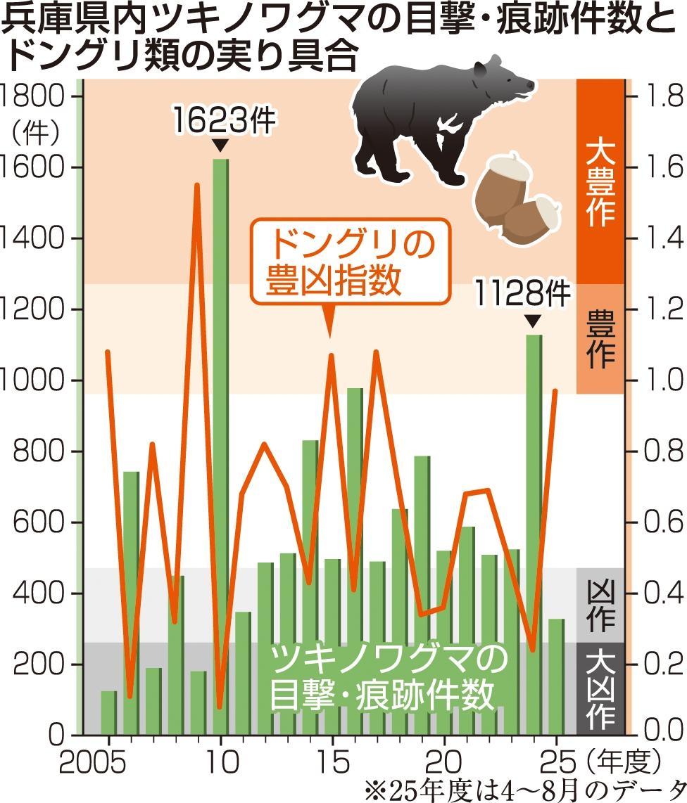 ドングリ豊作で「クマの出没減少」 兵庫県が予測|経済ニュース|神戸