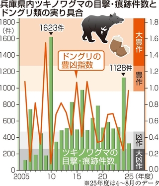兵庫県内ツキノワグマの目撃・痕跡件数とドングリ類の実り具合