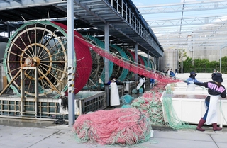 網にノリの種を付ける「採苗」作業。水車の下の水槽に種が含まれている＝明石市二見町南二見