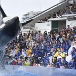 神戸須磨シーワールドのダイナミックなシャチのショー。インバウンドにも人気＝神戸市須磨区若宮町１