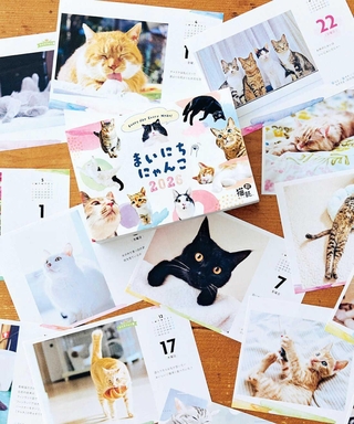 フェリシモの部活の一つ「猫部」が販売する人気の日めくりカレンダー。全国の愛猫家とともに作っている。販売価格の一部は基金として役立てられる（同社提供）