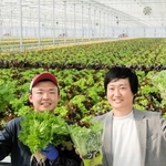 新工場でレタスを手にするゼブラグリーンズの小畠諒将取締役（右）ら＝加古川市志方町永室